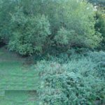 Teilansicht_2_des_Grundstücks