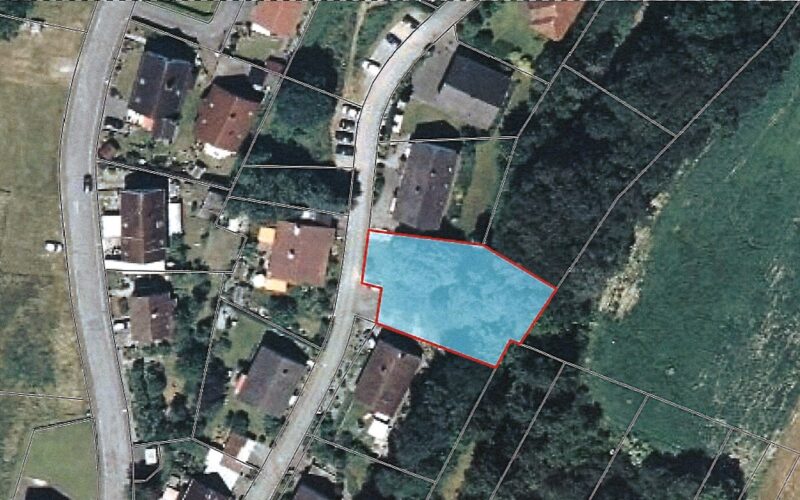 Luftbild_des_Grundstücks