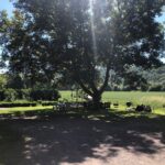 Ausschnitt der Hofanlage