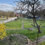 Ausschnitt vom Grundstück