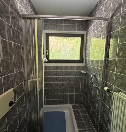 Gästetoilette mit Dusche im EG