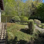 Ausschnitt vom Areal