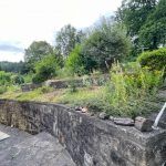 Auschnitt vom Garten