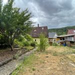 Ausschnitt vom Garten