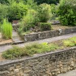 Ausschnitt vom Garten