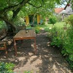 Ausschnitt vom Garten