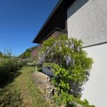 Ausschnitt vom Areal in Höhe Untergeschoss