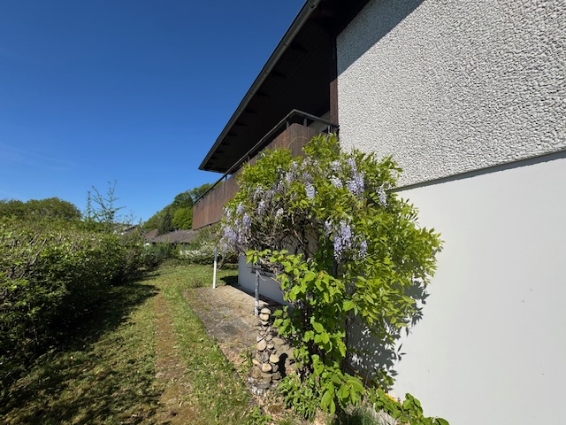 Ausschnitt vom Areal in Höhe Untergeschoss