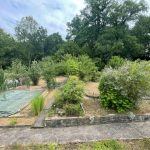 Ausschnitt von Ihrem Garten