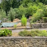 Ausschnitt von Ihrem Garten