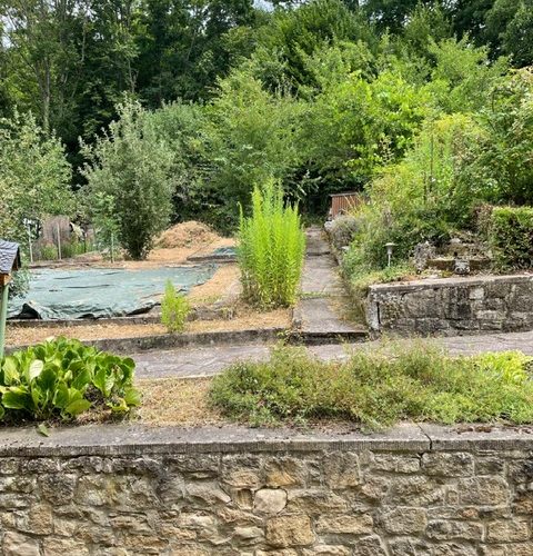 Ausschnitt von Ihrem Garten