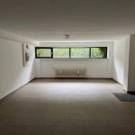 großer Hobbyraum im Keller