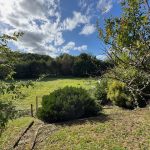 Blick vom Garten in die Natur